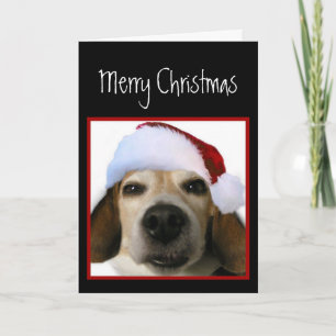 Beagle-julkort Helgkort