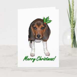 Beagle-julkort Helgkort