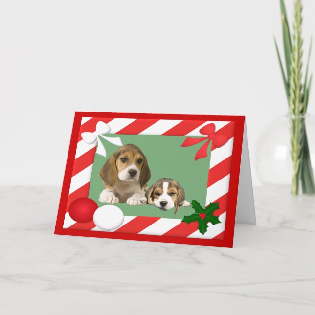 Beagle-julkort Ram Helgkort (Framsida)