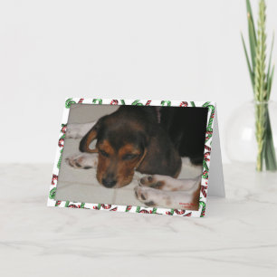 Beagle-julkort (Sömnig) Helgkort