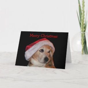 Beagle-julkort (tomten) helgkort