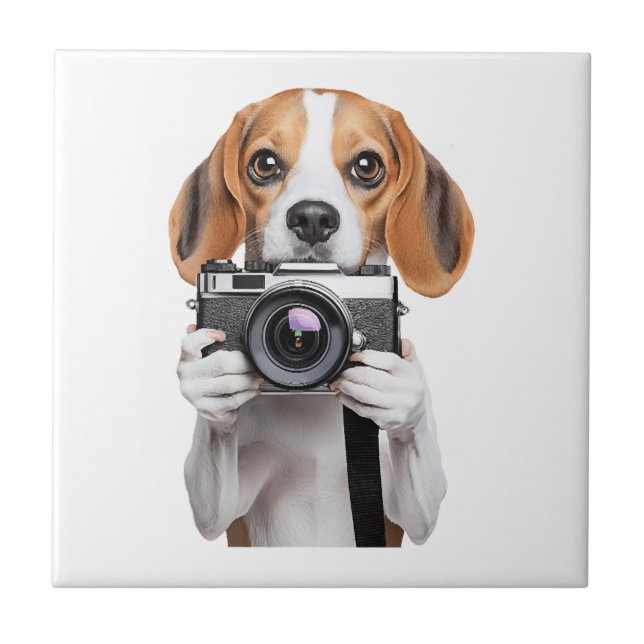 Beagle Kakelplatta (Framsidan)