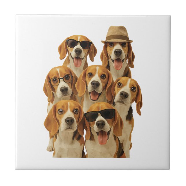Beagle Kakelplatta (Framsidan)