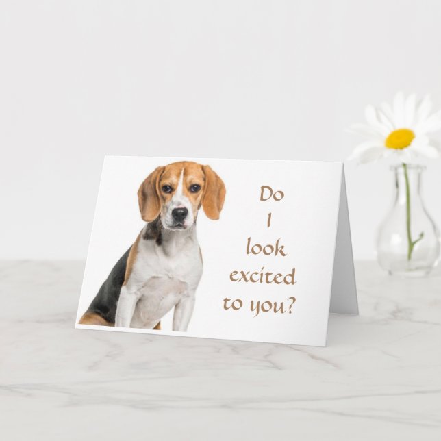 BEAGLE KAN INTE TRO HUR "YOUNG" DU SER UT KORT (Liten växt)