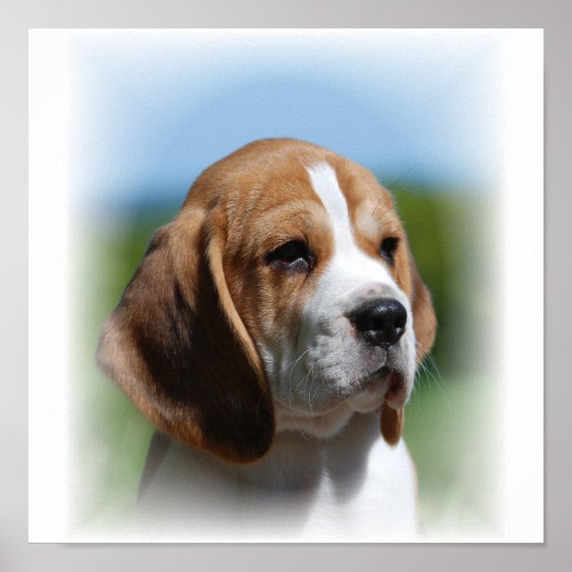 Beagle Kanvastryck Poster (Framsidan)