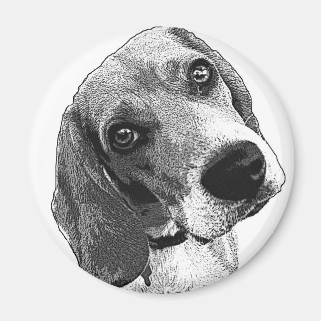 Beagle Kärlek Magnet (Framsidan)