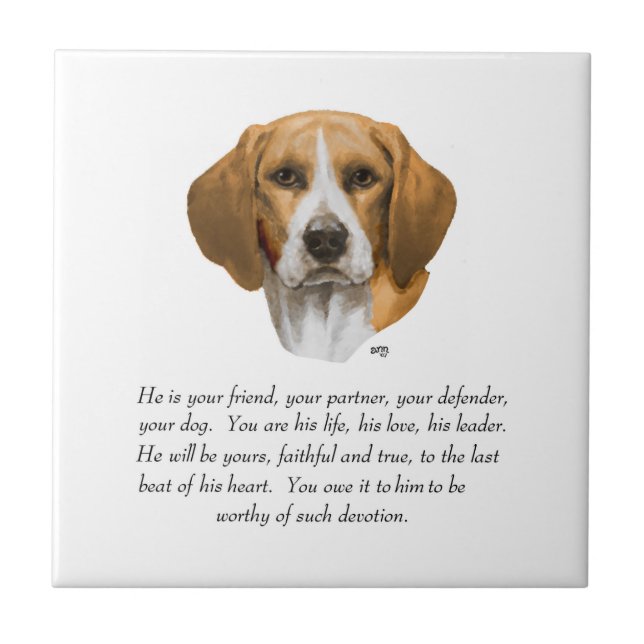 Beagle-keep souvenir HANE Kakelplatta (Framsidan)