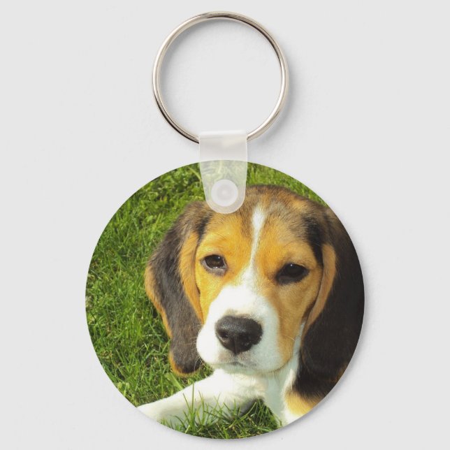 Beagle Keychain Nyckelring (Framsida)