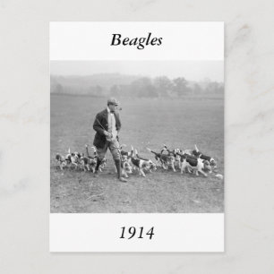 Beagle Klubb, 1914 Vykort
