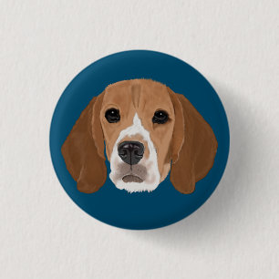 Beagle Knapp