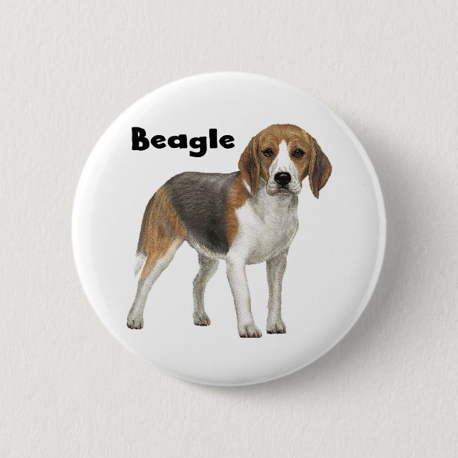 Beagle Knapp (Framsida)