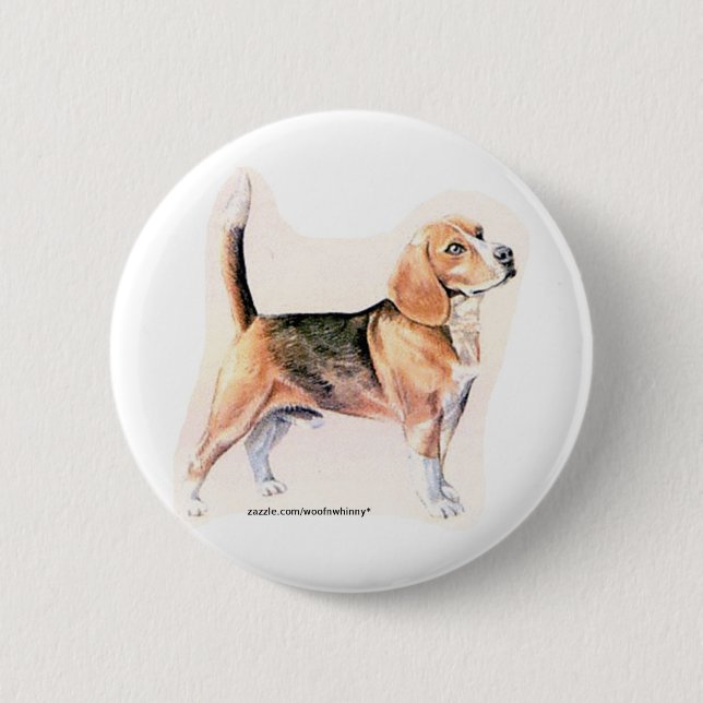 Beagle Knapp (Framsida)