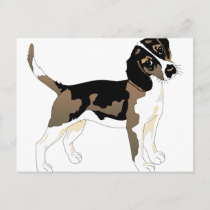 beagle konst 2 vykort