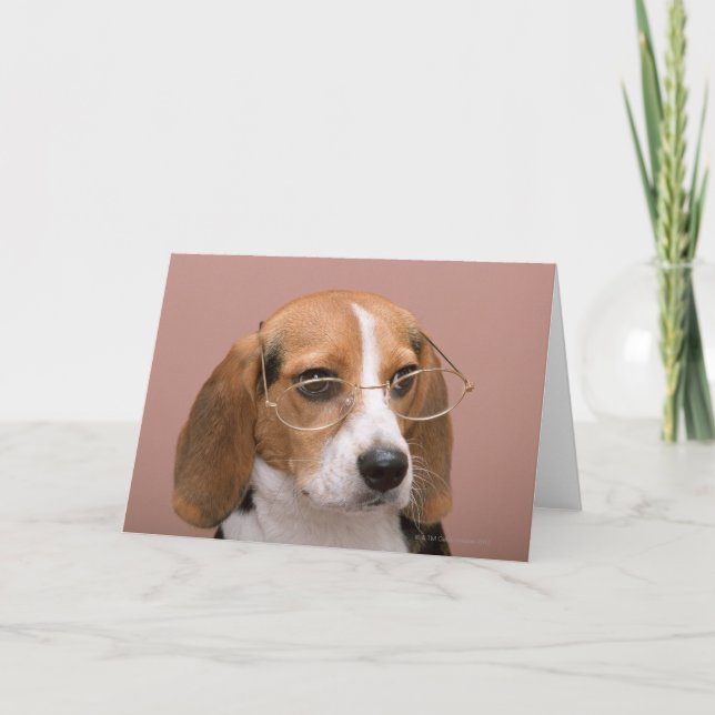 Beagle Kort (Framsida)