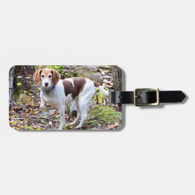 Beagle Luggage Tag Bagagebricka (Horisontell Framsida)