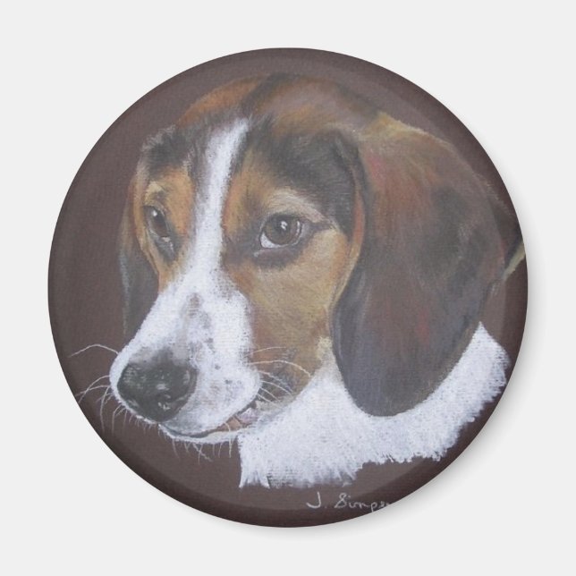 Beagle Magnet (Framsidan)