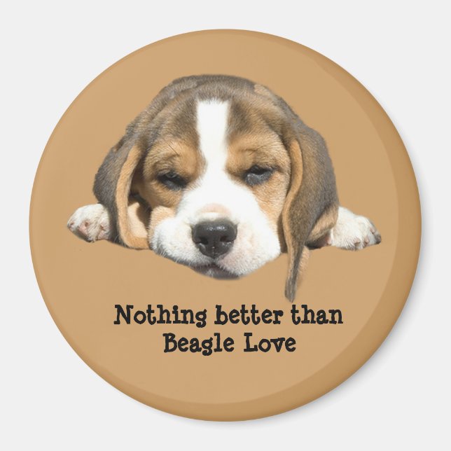 Beagle Magnet (Framsidan)