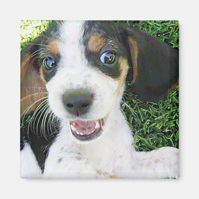 Beagle Magnet (Framsidan)