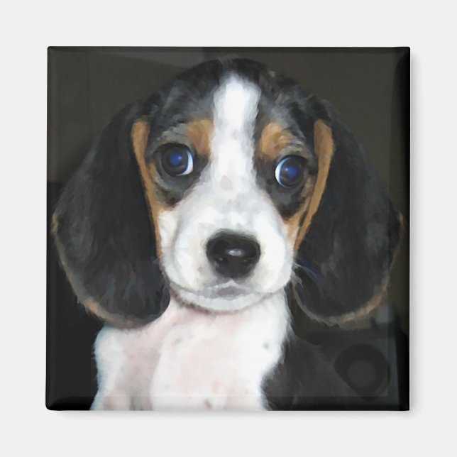 Beagle Magnet 2 (Framsidan)