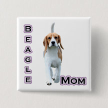 Beagle Mamma 4 - Knapp