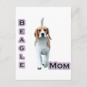 Beagle Mamma 4 Vykort