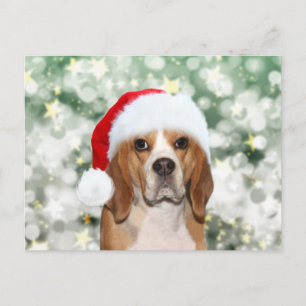 Beagle med jultomthjul vykort