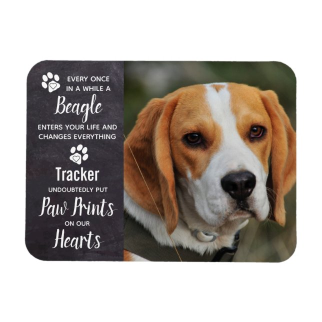 Beagle Memorial Magnet (Horisontell)