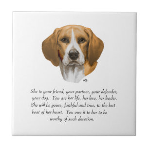 Beagle Minne Kakelplatta