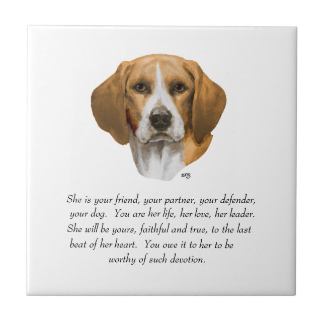 Beagle Minne Kakelplatta (Framsidan)