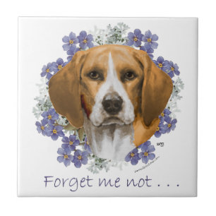 Beagle Minne Kakelplatta