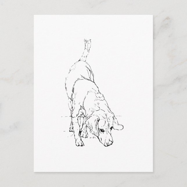 Beagle-mugg – Handritad bläckhund  Vykort (Framsida)