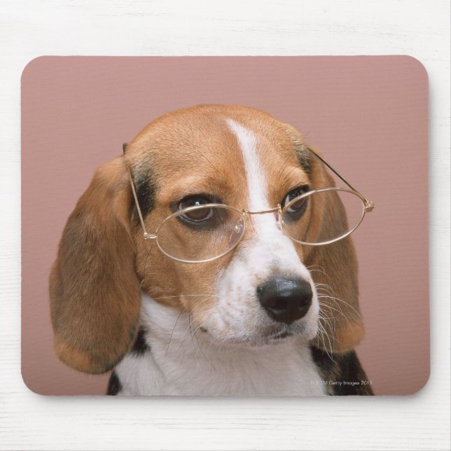 Beagle Musmatta (Framsidan)