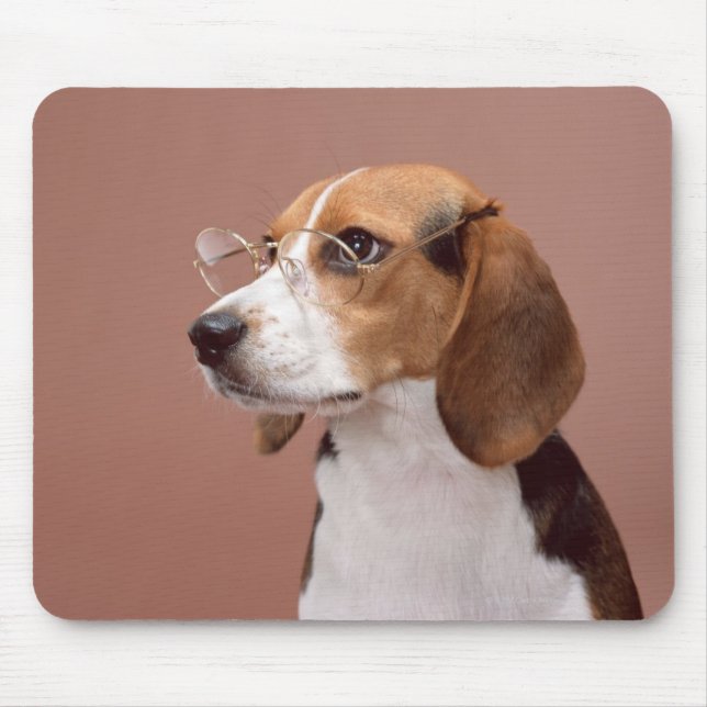 Beagle Musmatta (Framsidan)