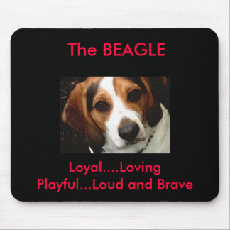 Beagle Musmatta