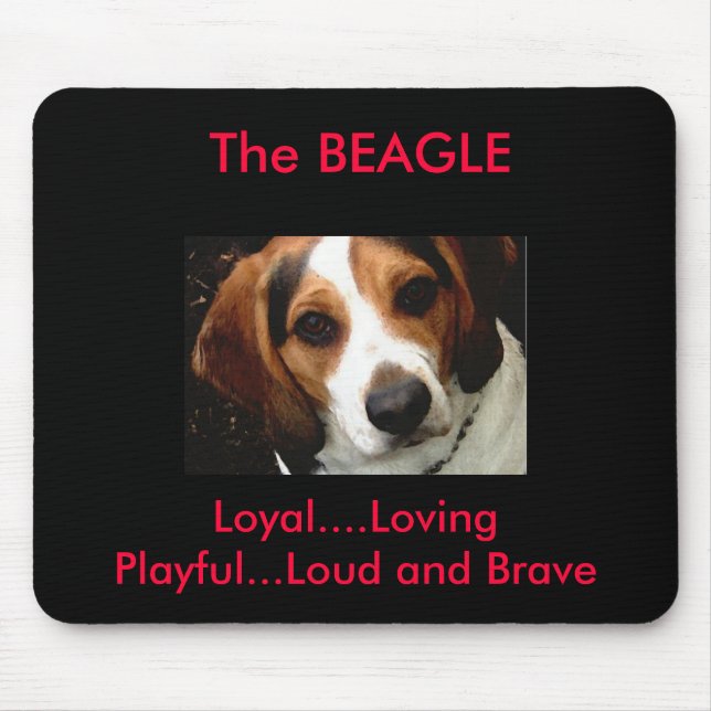 Beagle Musmatta (Framsidan)