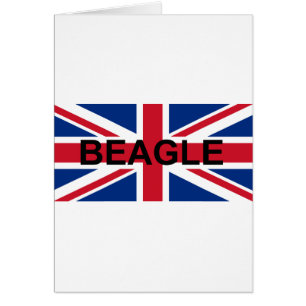 beagle namn england Förenade kungariket_Konungarik Hälsningskort