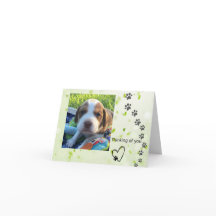 Beagle Note Card (tomt inuti)