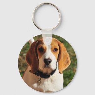 Beagle Nyckelring