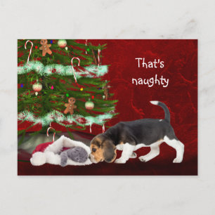 Beagle och stygg jul i kattunge helg vykort