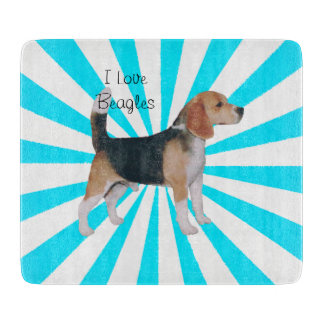 Beagle på turkosPinwheel