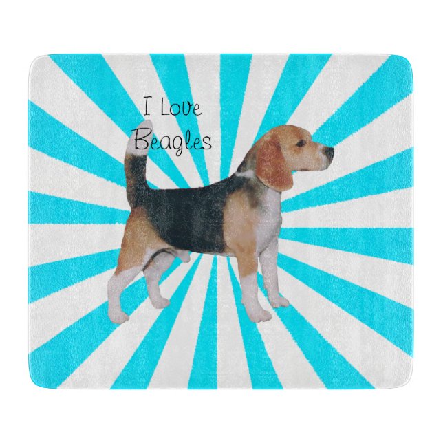 Beagle på turkosPinwheel (Framsidan)