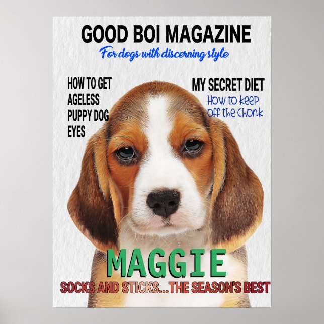 Beagle Parody Magazine Cover Poster (Framsidan)