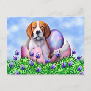 Beagle Påsk Surprise Helg Vykort