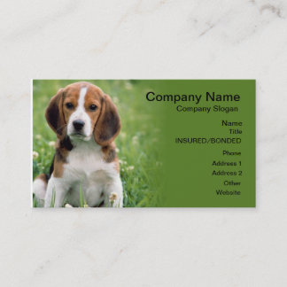 Beagle Pet Sitta Affärskort Visitkort
