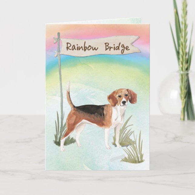 Beagle Pet Sympathy over Rainbow Bridge Kort (Framsida)