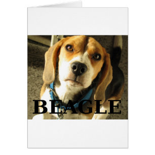 Beagle pic w namn hälsningskort