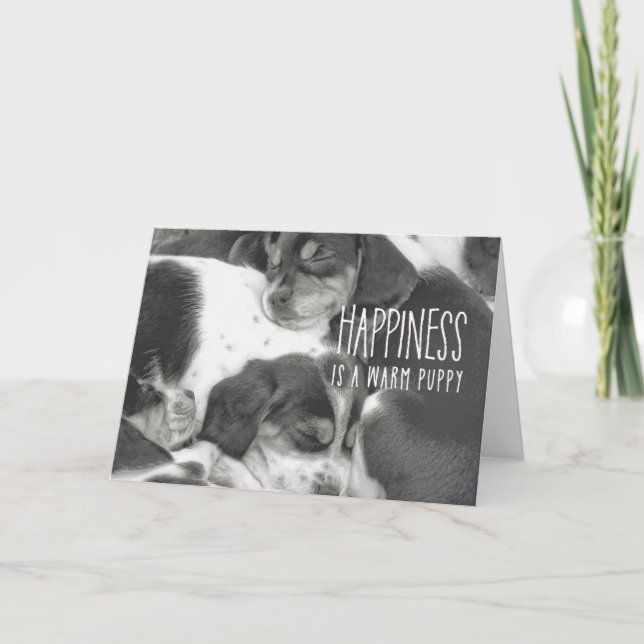 BEAGLE PILE-gratulationskort Tack Kort (Framsida)