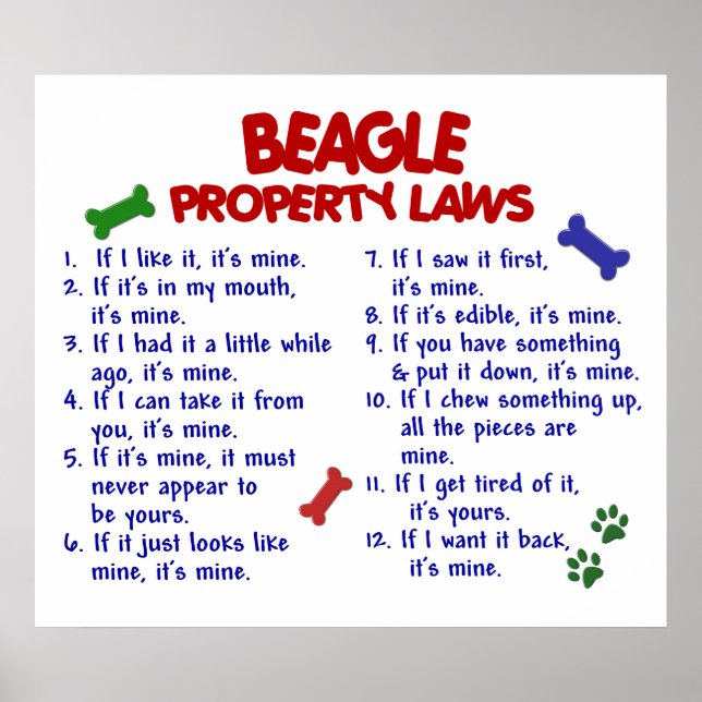 BEAGLE PL2 POSTER (Framsidan)