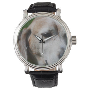 beagle porträtt armbandsur