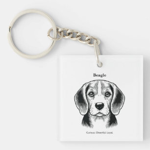 Beagle Porträtt Black Line Illustration